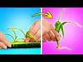 Awesome Gardening Tips And Easy Hacks For Growing Plants &amp; Plant Care