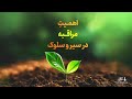 اهمیت مراقبه در سیروسلوک عرفان و سیر و سلوک آیت الله طهرانی 