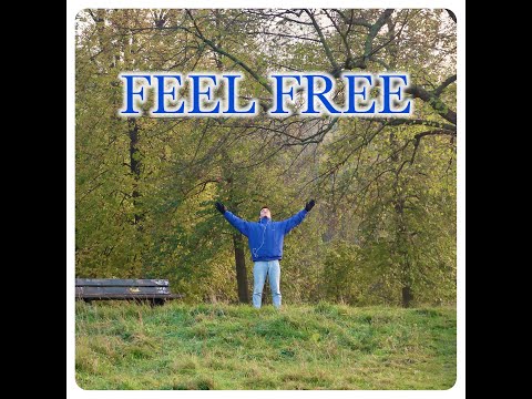 Feel Free -
