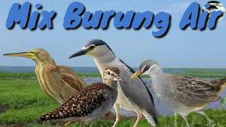 Suara pikat Mix burung Air / Rawa