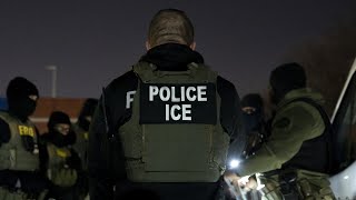 Relative of Iranian terror mastermind taken into custody by ICE in US