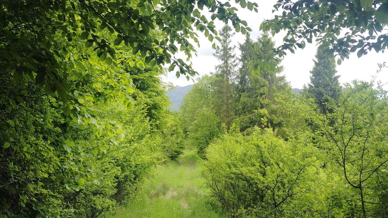 Nové kalisko a pobyt v horách @zivotvdivocine