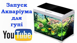 Акваріум для гупі, Встановлення та запуск акваріума, Акваріум з нуля 15 літрів