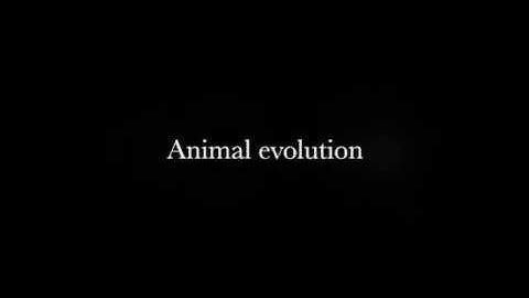 The power of neural networks and evolutionary algorithms: Animal evolution