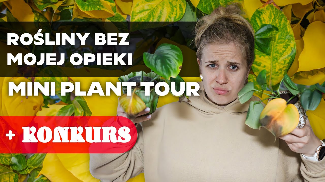 Czy rośliny przetrwały pół miesiąca bez mojej opieki? | mini plant tour