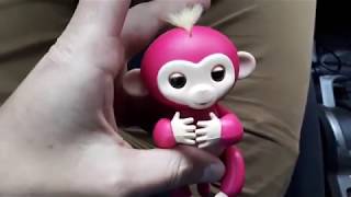 Обезьянка fingerlings Белла