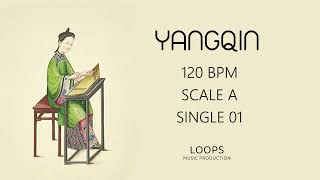 FREE Yangqin Loops (Royalty Free) | Traditional Chinese Instrument for Music Producers | single | A