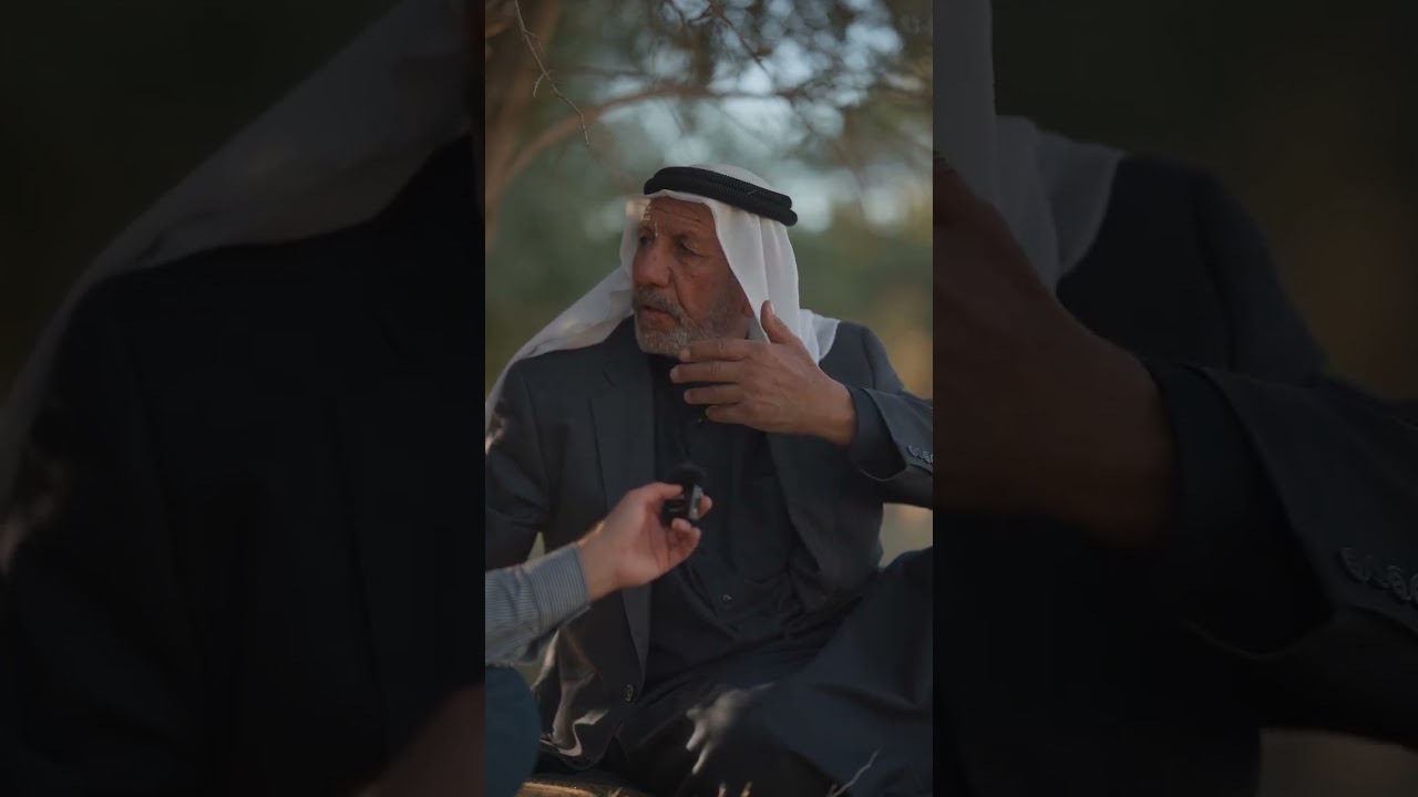 زراعة الزيتون في نينوى ..