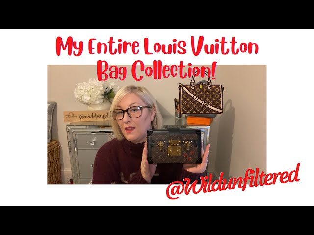 My ENTIRE LOUIS VUITTON BAG Collection