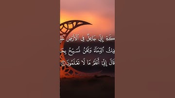 من سورة البقرة بصوت القارئ الحسين عبدرب الرسول محمد #القرآن_الكريم#اكسبلور #غزة_بتفرح#غزة_النصر #الم
