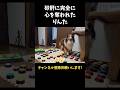 砂肝に完全に心を奪われたりんた【会話ボタンでしゃべる犬】 #shorts #犬