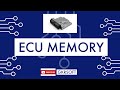 ECU MEMORY : PFlash, DFlash, EEPROM, RAM, ROM, FRAM, SRAM, HSM, CACHE