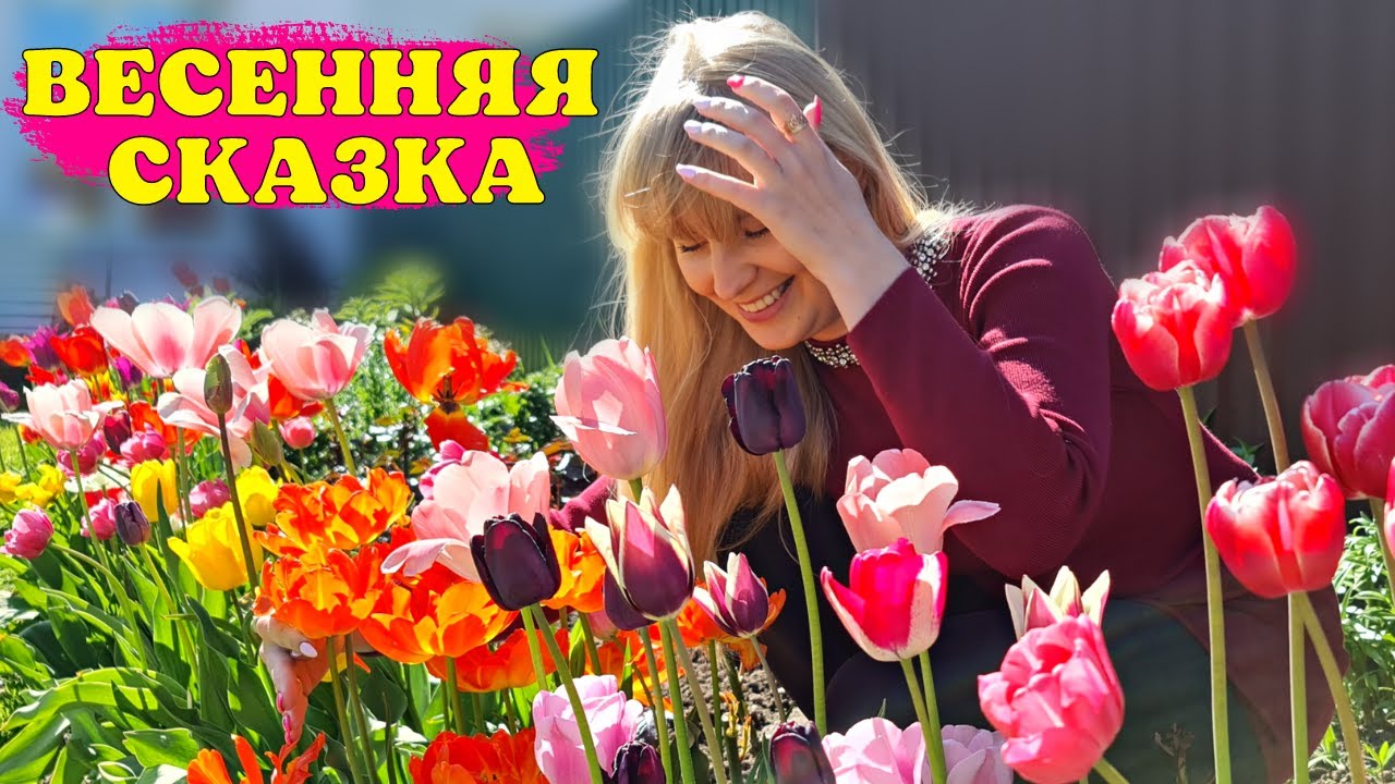 Сажаем СЕЙЧАС и ЛЮБУЕМСЯ КРАСОТОЙ ВЕСНОЙ. Обзор РАЗНЫХ ВИДОВ ТЮЛЬПАНОВ