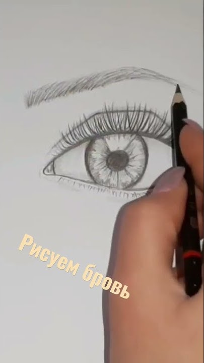 Рисуем бровь простым карандашом #sketch #рисунки #наброски - YouTube
