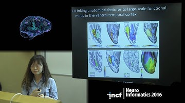 Yanchao Bi - The functional and neural architecture of object concepts [2016]