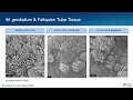 Mycoplasma genitalium