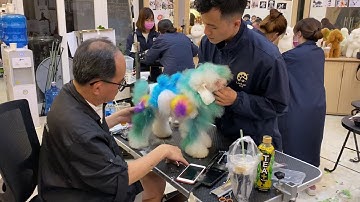 Học cắt tỉa lông chó tại Hồ Chí Minh - Lanlan Pet