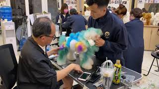 Học cắt tỉa lông chó tại Hồ Chí Minh - Lanlan Pet screenshot 4