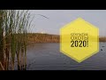 Открытие охоты на утку 2020!