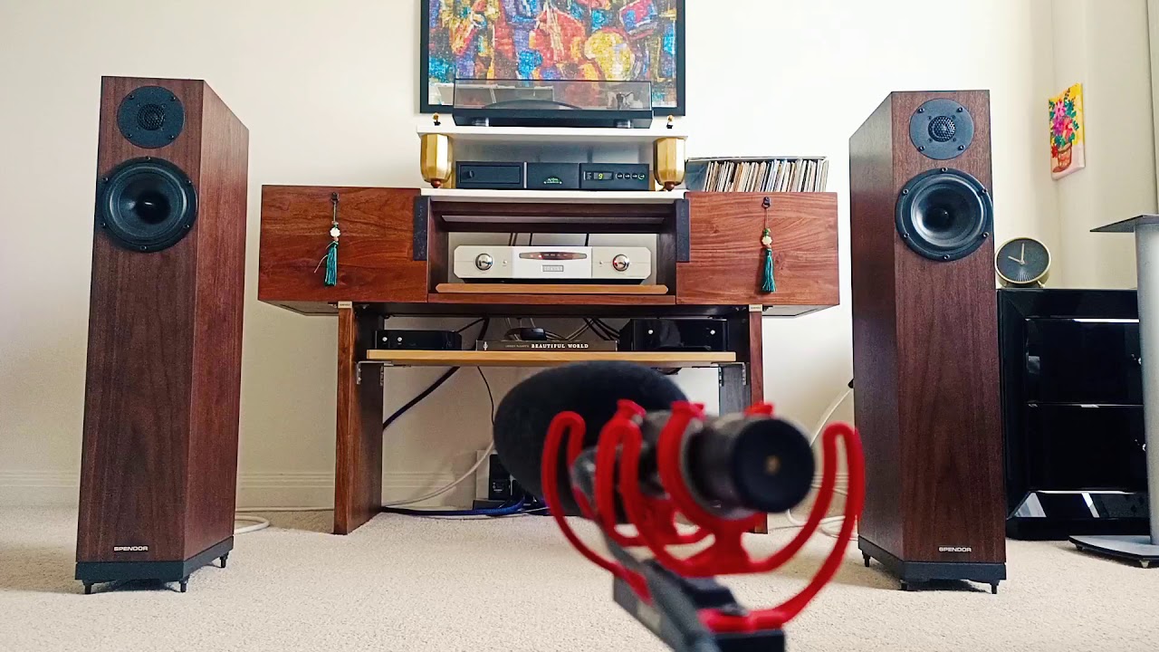 spendor d9 with naim