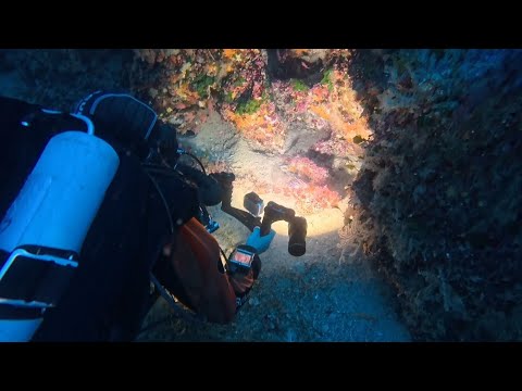 Deep Diving in Giannutri | Punta Secca & Punta San Lorenzo (60m)