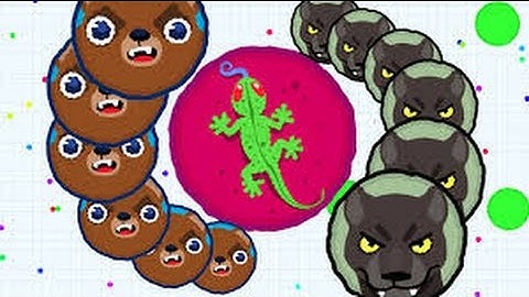 AMAZING SPLITRUN WITH FAN / TRICKSPLIT