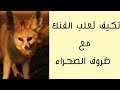 تكيف ثعلب الفنك مع ظروف الصحراء علوم الصف الرابع الإبتدائي التكيف والبقاء 