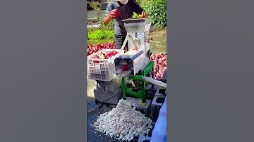 Thumbnail of unique tool to produce cassava extract #shorts