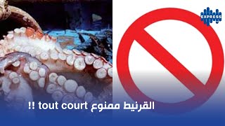 tout court القرنيط ممنوع !!