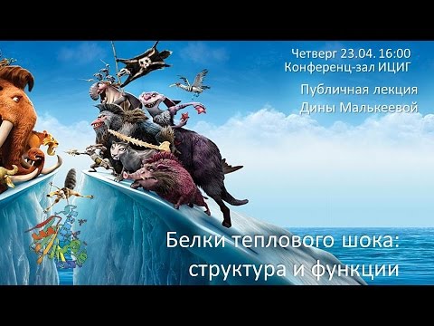 Дина Малькеева "Белки теплового шока: структура и функции"