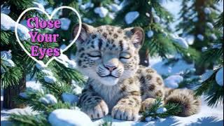 🐾 Fall Asleep Fast with This Adorable Snow Leopard Cub 💤  8 Hour Winter Lullaby for Deep Sleep ❄️