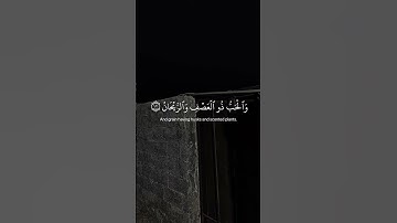 تلاوة خاشعة جميلة بصوت القارئ إسلام صبحي ،سورة فاطر #قرآن #اسلام_صبحي