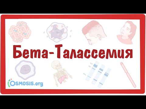 Бета-Талассемия — причины, симптомы, патогенез, диагностика, лечение