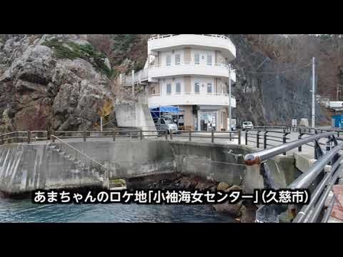 東亜リース 株式会社 今を伝えたい 久慈 岩泉編 2020年3月 Youtube