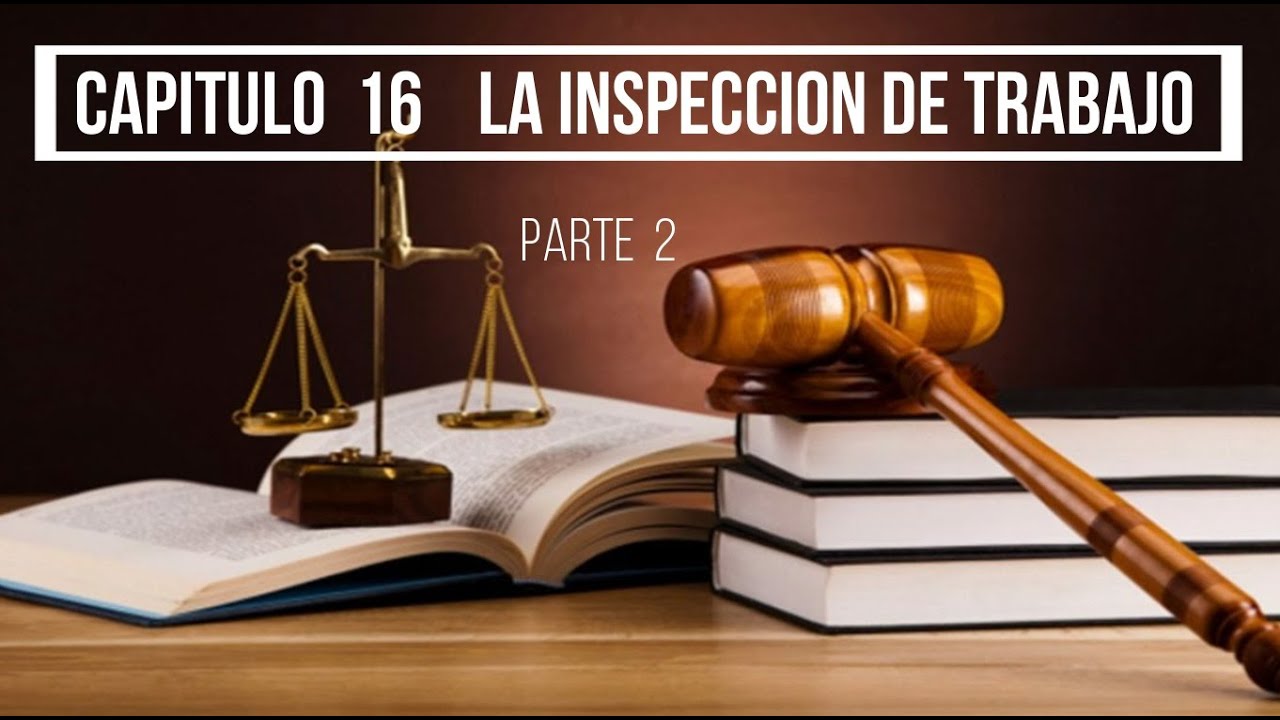 Curso de Derecho Laboral para Vigilantes de Seguridad. Cap.  16  La Inspeccion de Trabajo, parte 2
