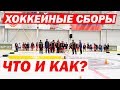 Хоккейные сборы. О хоккейном тренировочном лагере HOCKEY WAY.