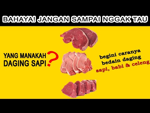 Video: Daging Babi, Daging Sapi, Ayam