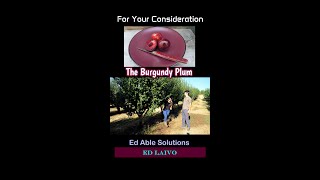 Burgundy Plum, Zack And Adriana Talk About This Most Important Plum Variety, For Your Consideration Is Plum Burgundy