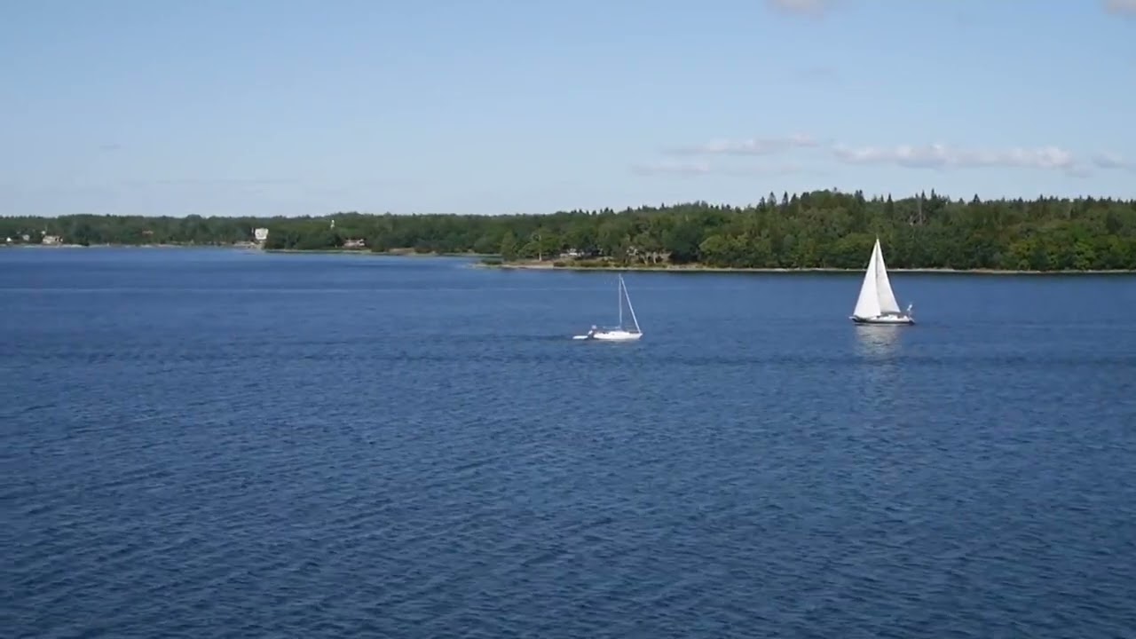 Dança com meu coração IA