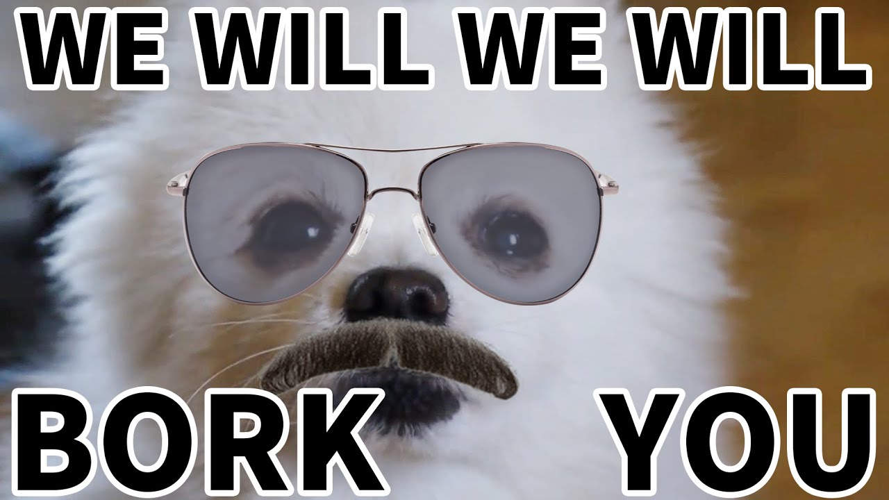*WE WILL BORK YOU*  (Queen - We Will Rock You Dog cover)