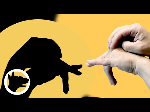 How to Make an ELEPHANT with Your Hands 🔦🤏🐘 Shadow Puppets Tutorial