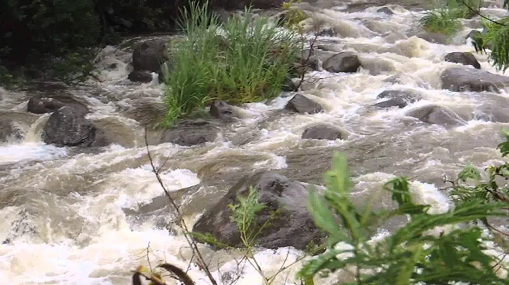 The Iao River in Maui is raging!