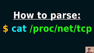 Reading /proc/net When ss, nc, netstat, telnet and curl Aren't Installed
