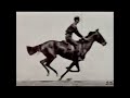 Horse and Rider Galloping (1887) Eadweard Muybridge