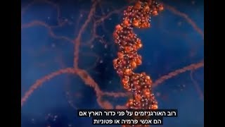 The Journey Of The Composition Of The Material