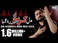 Dil karbala main reh gaya  new noha 2018 20191440  syed raza abbas zaidi nohay 2019