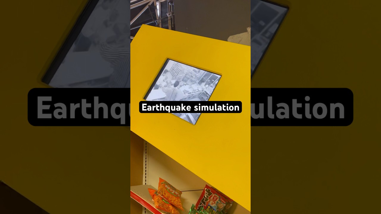 Japan’s Earthquake Simulator is INSANE
