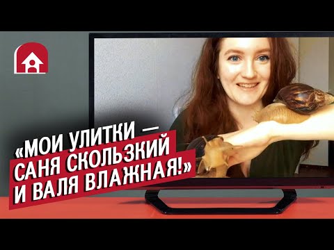 У них необычные домашние животные (КОНКУРС ВНУТРИ) | Неудобные вопросы