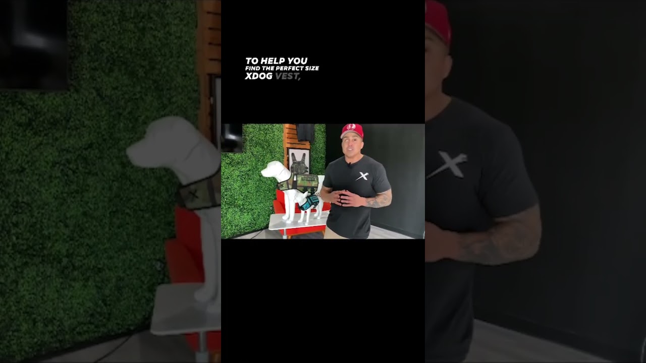 Find The Perfect Size XDOG Vest For Your Dog! 