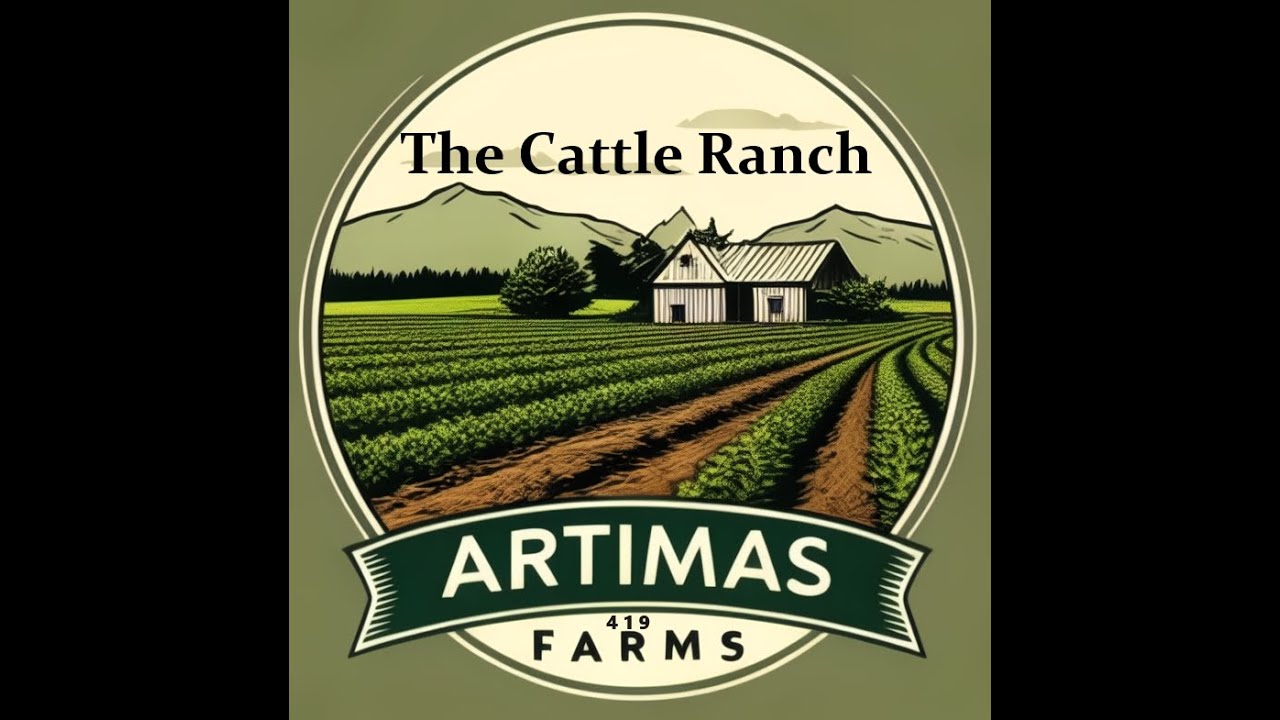 The Cattle Ranch e005 | Moving the Cattle to the new pin and mowing grass | FS25